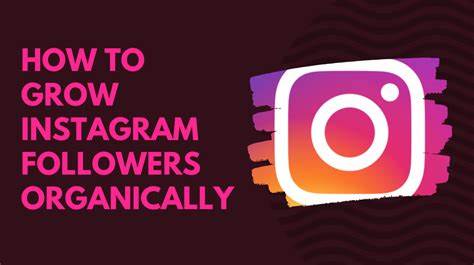 How to Grow your Instagram Followers Organically in 2025